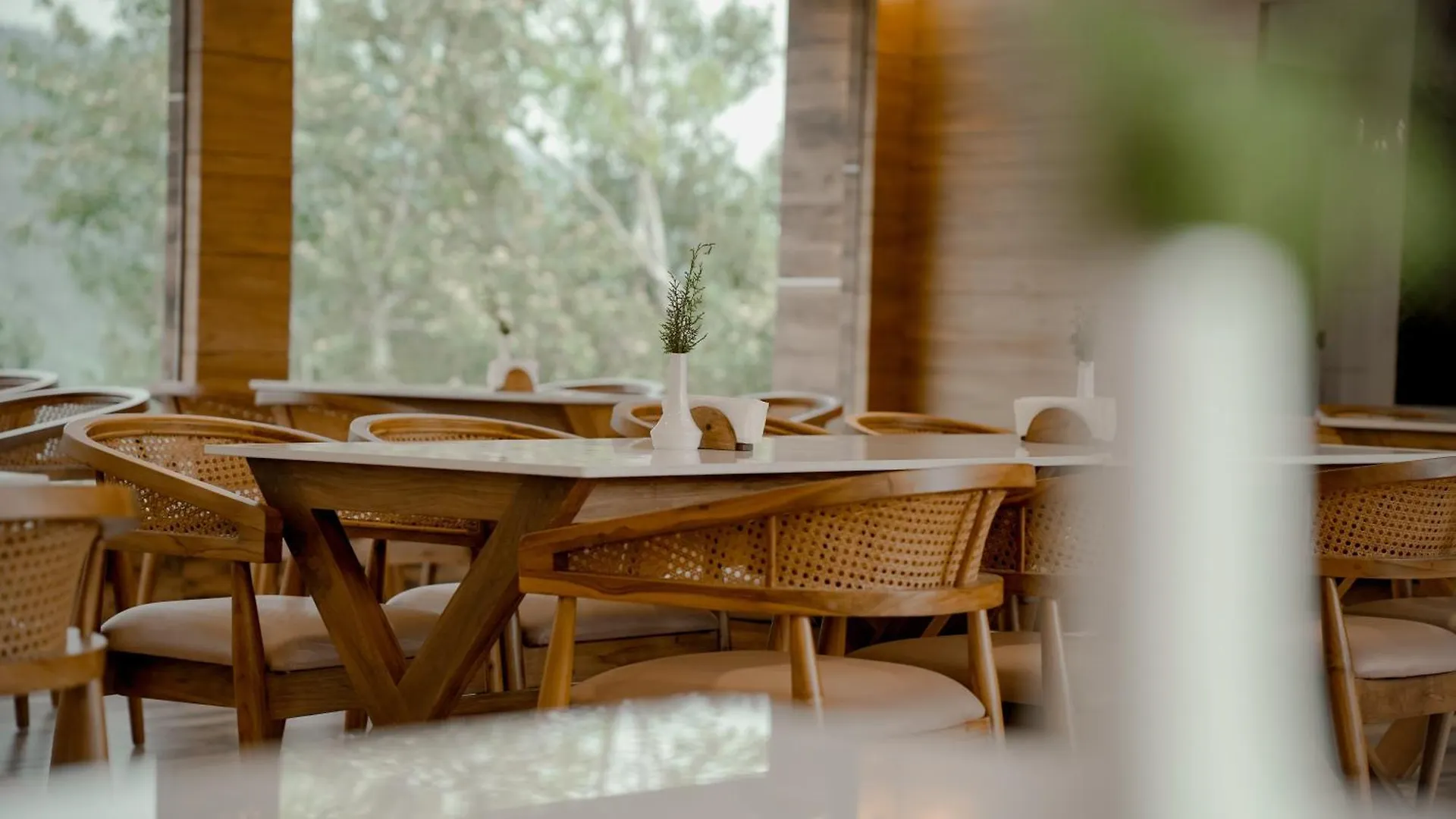 Hotel The Teatree Munnar Suryanelli Indie