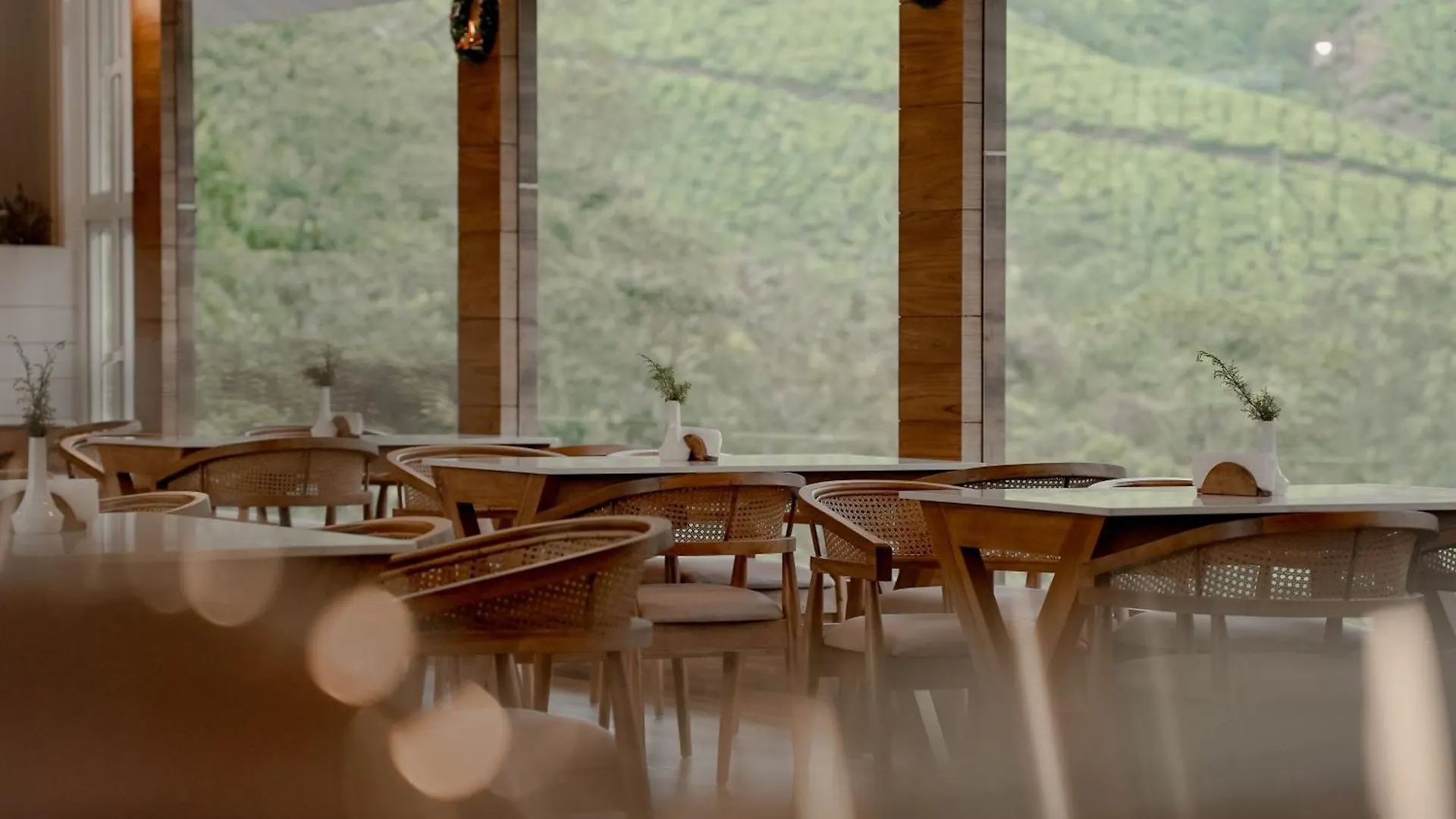 The Teatree Munnar Hotel Suryanelli